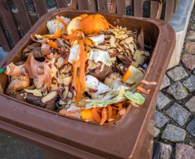 śmietnik z odpadami bio