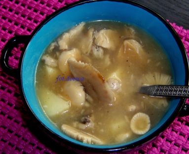 Zupa z muchomorów
