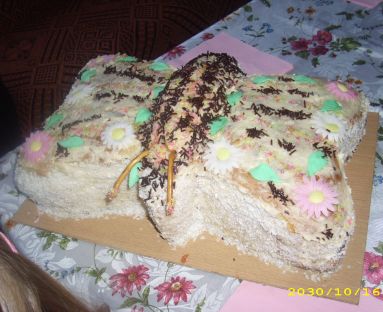 tort motyl  biszkoptowy z masa czekoladowa