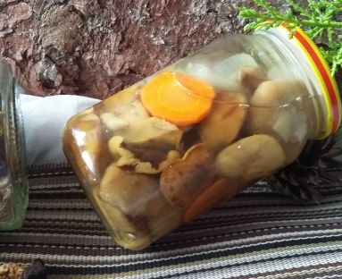 grzyby  z marchewka i cebulką