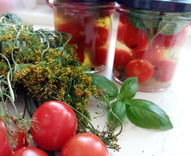 Kiszone pomidory w  zalewie bazyliowej z koprem i ziarnami pieprzu