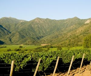 Winnica Veramonte/ Klimat i gleba czyli potencjał Chile 