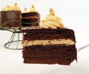 Tort czekoladowo-orzechowy