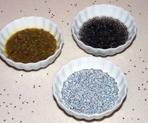 Chia seeds czyli nasiona szałwii argentyńskiej 