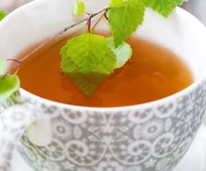herbata z liści brzozy