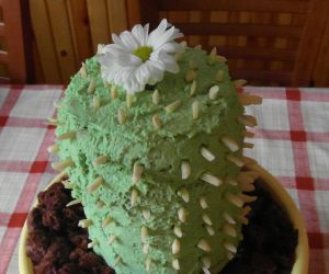 Tort Kaktus