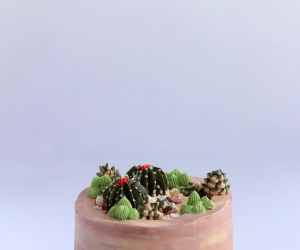 Tort z kaktusami