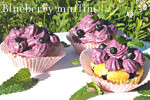 http://mystylemyeveryday.blogspot.com/2014/07/jagodowe-muffiny-blueberry-muffins