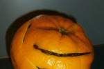 owoc pomarańczy z ziarenkami kawy