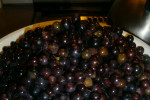 przebieranie owoców winogrona