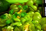 Sałatka – zielony miks 