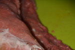Faszerowana polędwiczka wieprzowa boczkiem z sosem śliwkowym