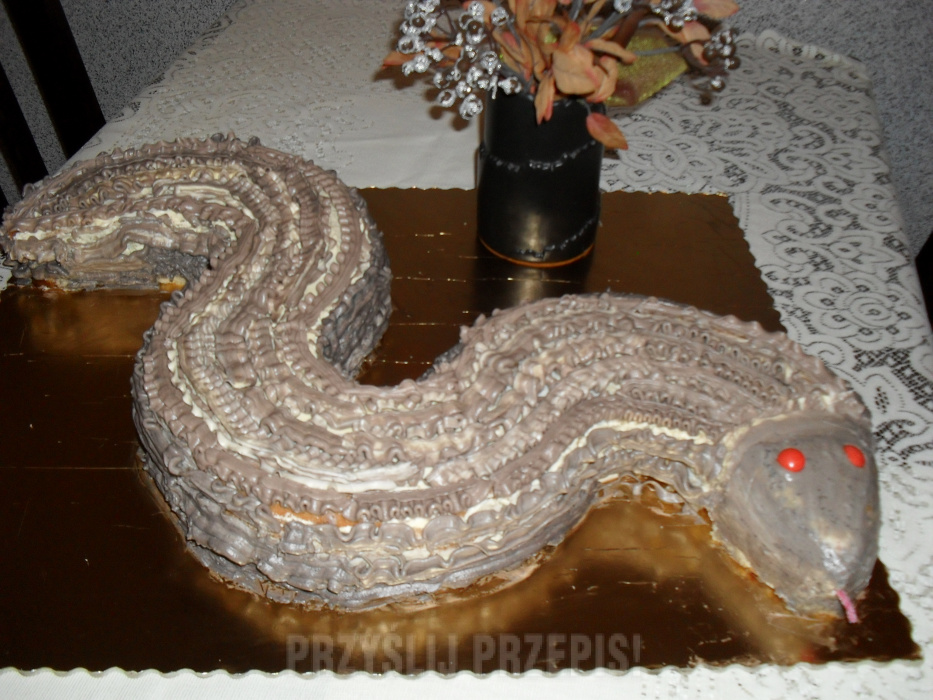 Tort wąż