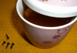 Herbatka rozgrzewająca wg.adamonika;)