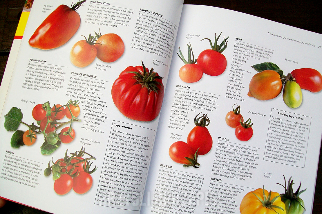 Pomidory. 180 wspaniałych przepisów