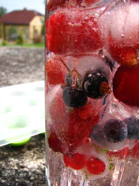 kostki lodu z owocami