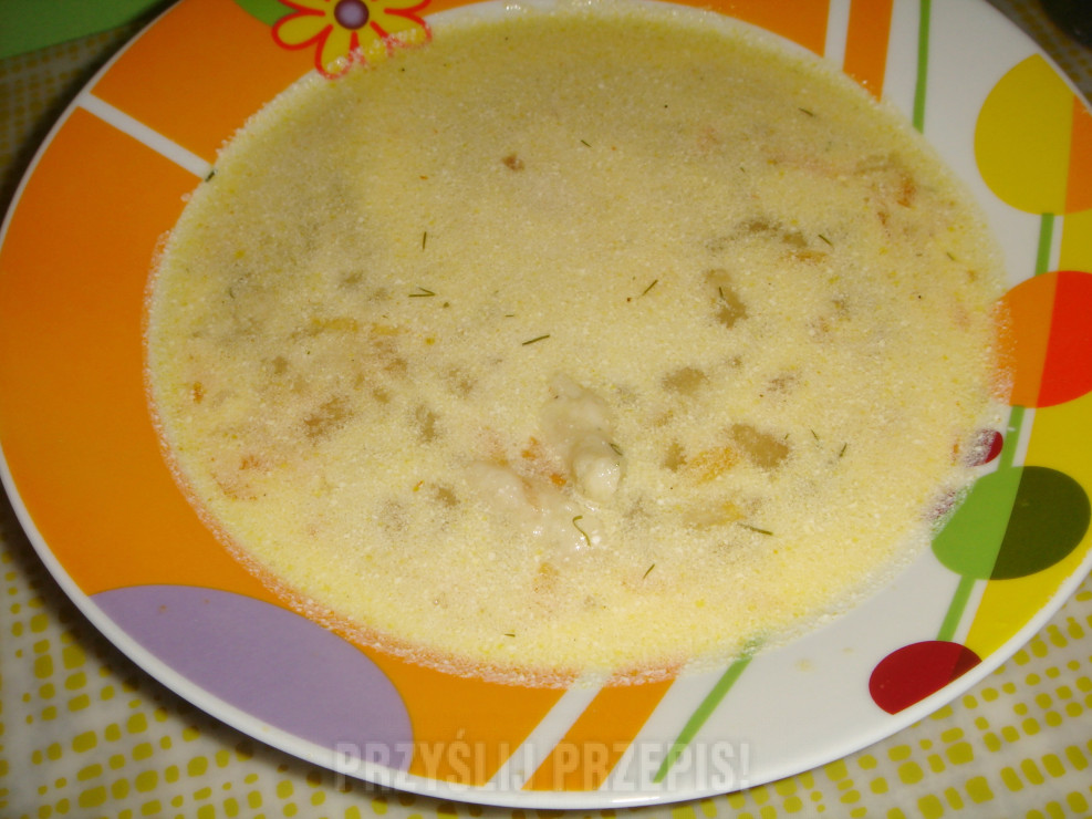 Koperkowa zupa z kluseczkami wg Babeczki 35