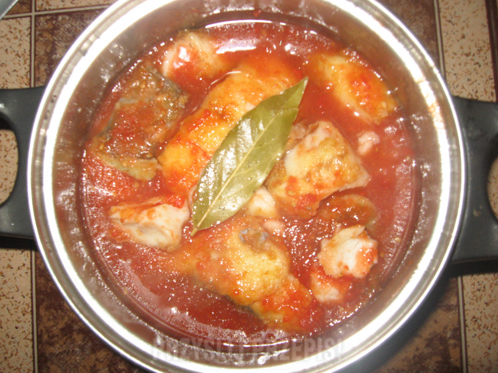 Miruna octowa w sosie pomidorowym