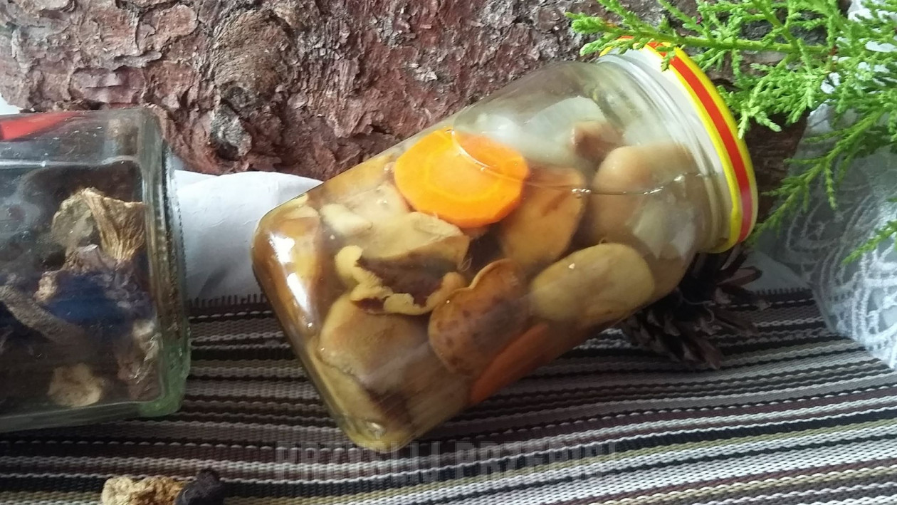 grzyby  z marchewka i cebulką
