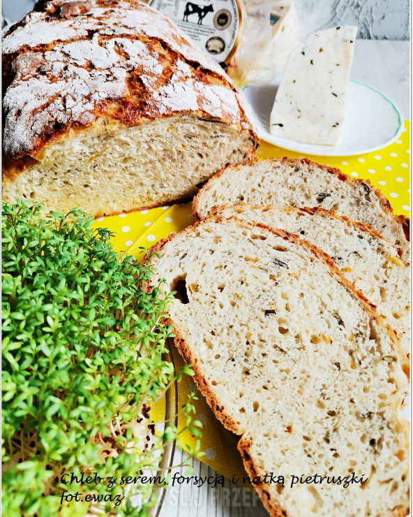 Chleb z serem, forsycją i natką pietruszki